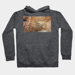 Orange Hot Spring Hoodie